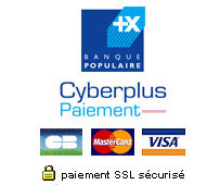 logo_cyberplus2 paiement